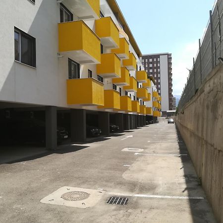 Blue Apartment 1 ブラショフ エクステリア 写真